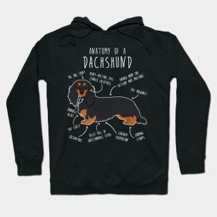 Black and Tan Longhaired Dachshund Dog Anatomy Hoodie